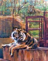 Feline Rescue Center - Oil on Canvas 2015